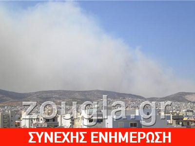 Υπό έλεγχο τα πύρινα μέτωπα