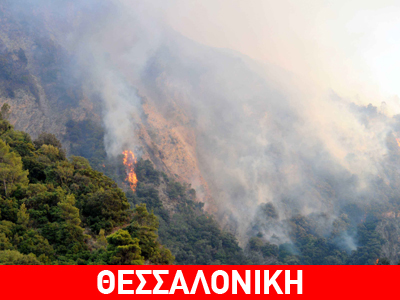 Φωτιά τα ξημερώματα σε δασική έκταση στο Ασβεστοχώρι