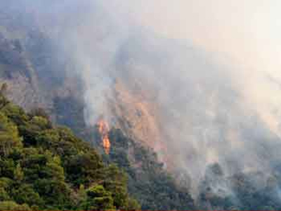 Υπό έλεγχο η φωτιά στην Κερατέα
