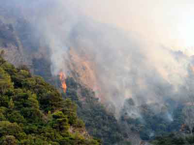 Εμπρησμός σε οικόπεδο στον Βύρωνα
