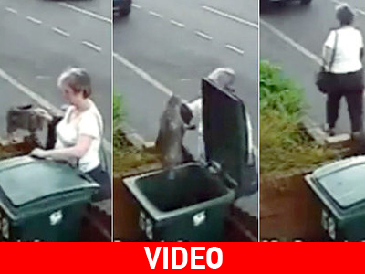 Πρόστιμο στη γυναίκα που πέταξε γάτα στα σκουπίδια