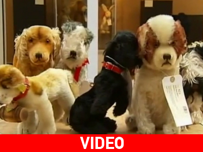 Στο σφυρί… 1.300 κουκλάκια