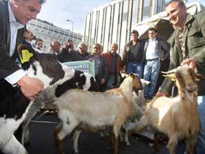 Κινητοποιήσεις προαναγγέλλουν οι κτηνοτρόφοι