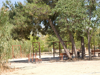 Βρέθηκε πτώμα στο Ίλιον