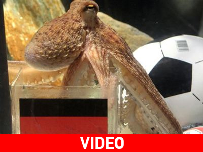 Απεβίωσε… ο Πάουλ