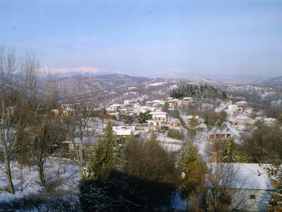 Έπιασαν τους «μεγαλοφοροφυγάδες» της χώρας, στο χωριό Πηγή του Κιλκίς