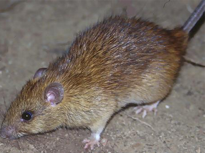 Την Κυριακή στο VETO το who is who του blog «troktiko»