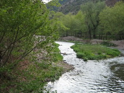 Σκύλος εντόπισε νεκρό τον αγνοούμενο