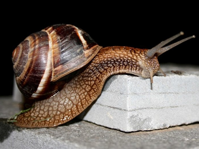 Από την Ιπποκράτους στη Βουλή