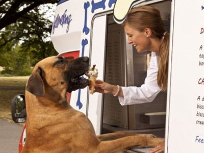 Παγωτό… για σκύλους