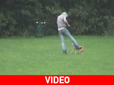 Κακοποίηση σκύλου on camera