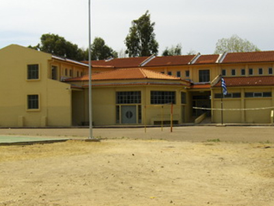 «Ποντικοί» σε δημοτικό της Χαλκίδας