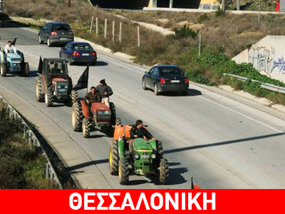 Συγκεντρώνονται οι ελαιοπαραγωγοί της Χαλκιδικής