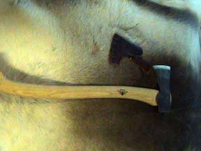 Επιτέθηκε με τσεκούρι στον αδελφό του