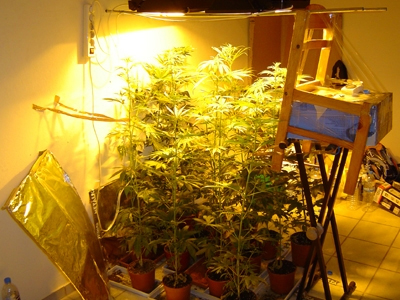 Βρήκαν τα ναρκωτικά, τους ξέφυγε ο έμπορος