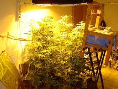 Καλλιεργούσε χασίς στο μπαλκόνι του