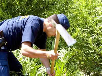 Είχαν κρύψει 4 κιλά χασίς