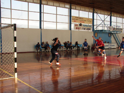 Αντέδρασε για το αστέρι της Βεργίνας