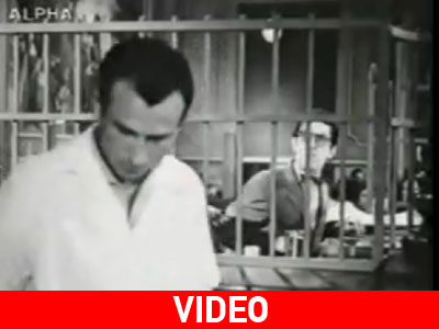 Τι σχέση έχει ο Γκουσγκούνης με τον Χόρν;