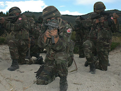 Τέσσερις Τούρκοι στρατιώτες σκοτώθηκαν από έκρηξη νάρκης