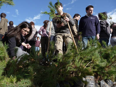 Μια συναυλία για την αναδάσωση