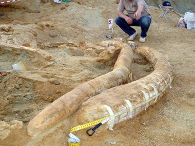 Βραβείο Γκίνες στα ελληνικά “κέρατα”