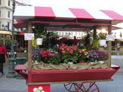 Η ανθοκομική έκθεση του Δ. Αθηναίων ανοίγει τις πύλες της