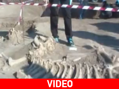 Βρέθηκαν σκελετοί ανθρώπων και ζώων στη Μαυροπηγή