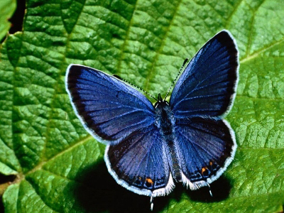 Εκδηλώσεις για τα παιδιά την παγκόσμια ημέρα περιβάλλοντος