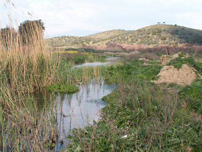 Μία ξεχωριστή διαδρομή στον υγρότοπο της Βραυρώνας