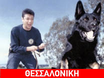 «Πτυχίο» έλαβαν πέντε σκύλοι του Λιμενικού