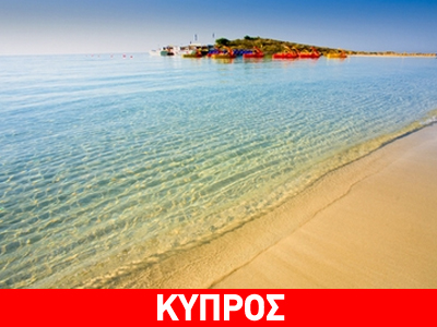 Νεκρά πρόβατα εκβράστηκαν στην Αγία Νάπα