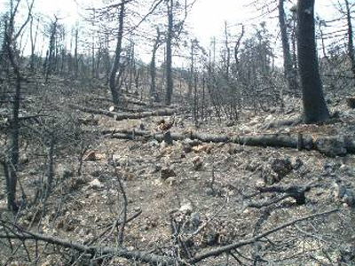 Άρχισαν τα αντιπλημμυρικά έργα στην Αττική