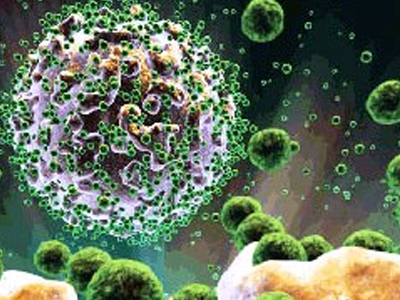 Αντισώματα κατά του ιού της γρίππης