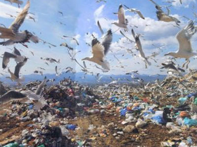 Ο εφιάλτης στο δρόμο… με τα σκουπίδια