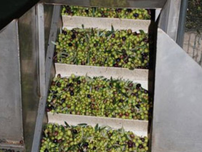 Πού επιτρέπεται η εγκατάσταση ελαιοτριβείων