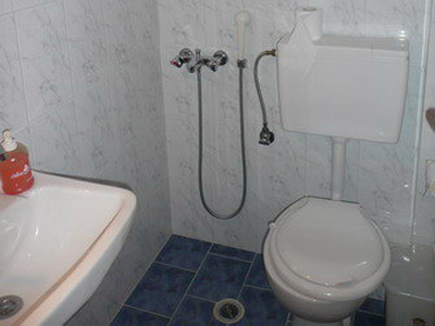 Μικρό μπάνιο, αλλά μεγάλη οικογένεια;