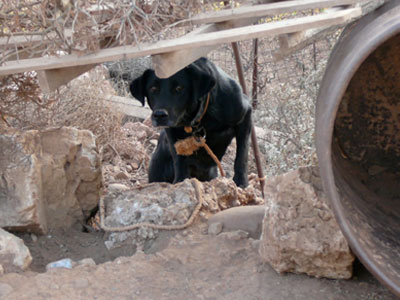 Είδαν με τα μάτια τους τη φρίκη των βαρελόσκυλων!
