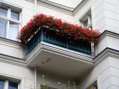 Αρχηγός χωρίς μπαλκόνι