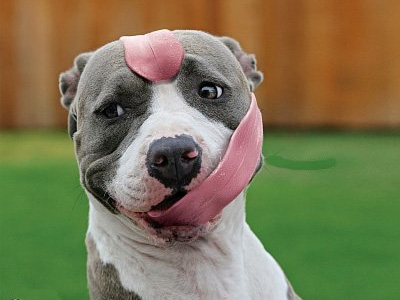 Έφαγε Ντορό-πορτα!