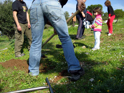 Δενδροφύτευση στην Πεντέλη την Κυριακή