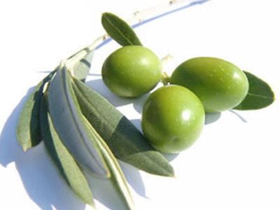 Με βελτιωμένες τιμές η νέα σοδειά του λαδιού