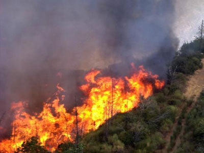Σβήστηκε φωτιά στο δήμο Μενηνίδος