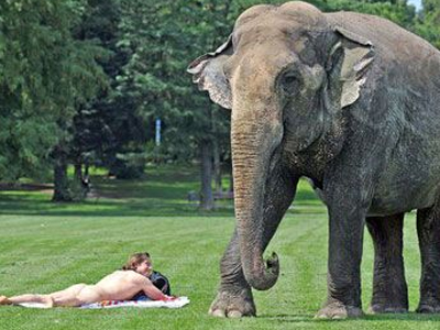 Μία παράξενη παρέα…