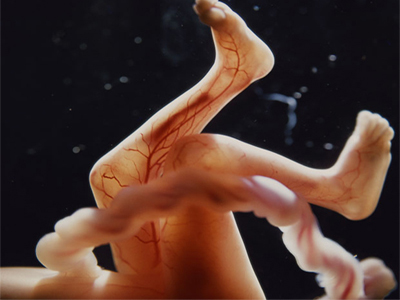 Γιατί το έμβρυο είναι με το κεφάλι προς τα κάτω;