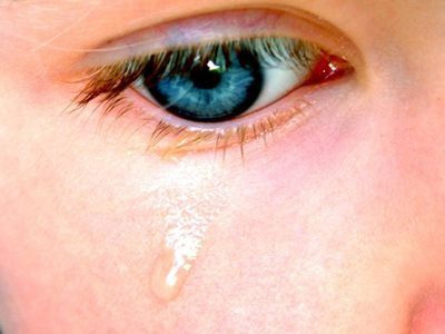 Καταθέσεις-σοκ στη δίκη των παιδεραστών