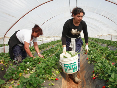 Εκλογικά δικαιώματα και ιθαγένεια στους μετανάστες