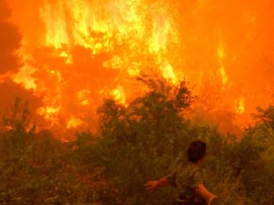 Σε εξέλιξη η φωτιά στην Κεφαλονιά