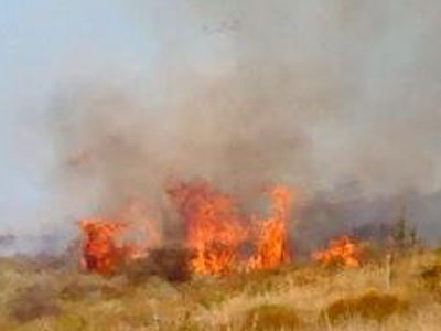 Πυρκαγιά στη Βαρυμπόμπη