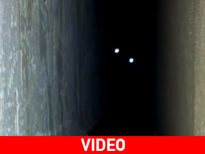 Η… «γάτα της κολάσεως»